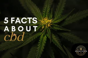 CBD Facts: 5 Things to Know About CBD Oil