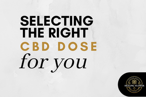 How Much CBD Oil Should I Take? [Infographic]